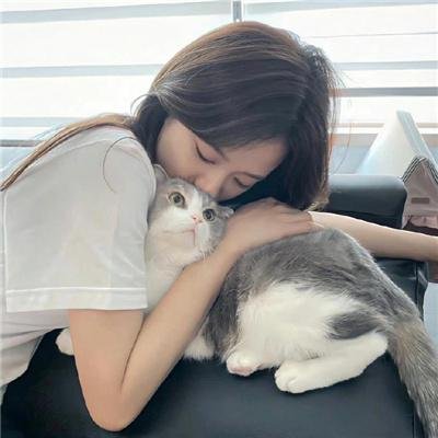 动感战士 封面